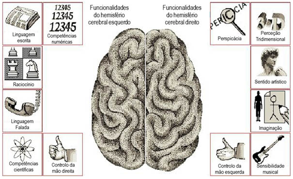 funcionalidades do cérebro